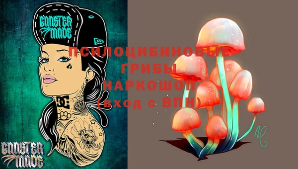 спиды Алексеевка