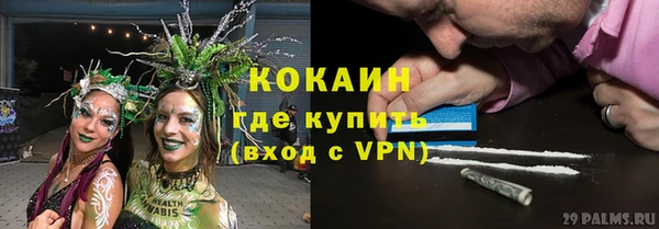 сатива Алексин